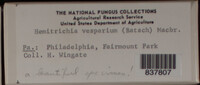 Image Associated With the Occurence